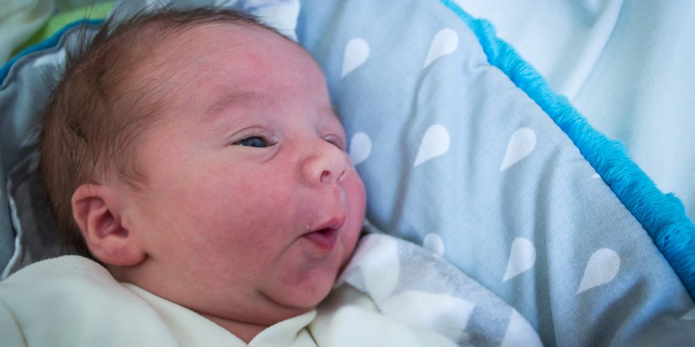 fot. Elżbieta Lejk /zkaszub.info