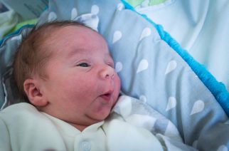 fot. Elżbieta Lejk /zkaszub.info