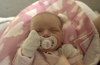 fot. Elżbieta Lejk /zKaszub.info