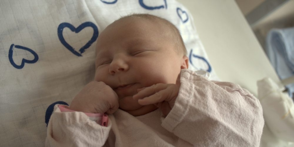 fot. Elżbieta Lejk /zKaszub.info