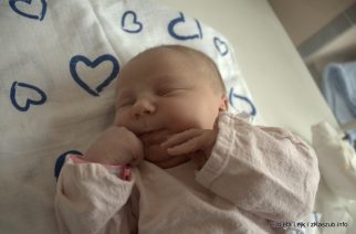 fot. Elżbieta Lejk /zKaszub.info