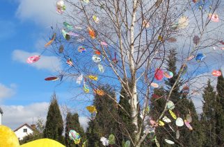 Za sprawą dzieci, w Przodkowie ponownie stoi bardzo wielkanocne drzewo