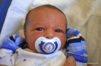 fot. Elżbieta Lejk /zKaszub.info