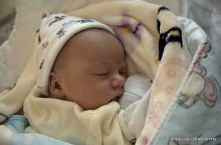 fot. Elżbieta Lejk /zKaszub.info