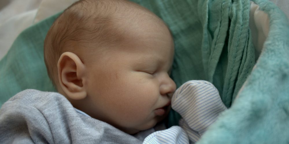 fot. Elżbieta Lejk /zKaszub.info