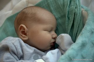 fot. Elżbieta Lejk /zKaszub.info