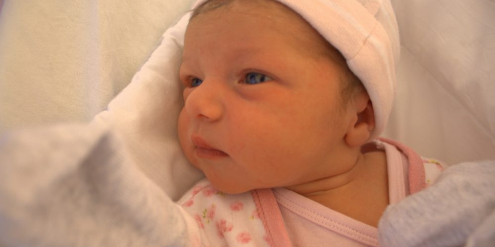 fot. Elżbieta Lejk /zKaszub.info