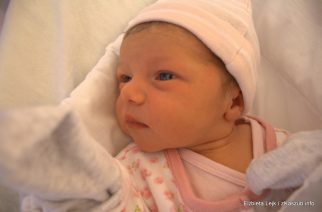 fot. Elżbieta Lejk /zKaszub.info