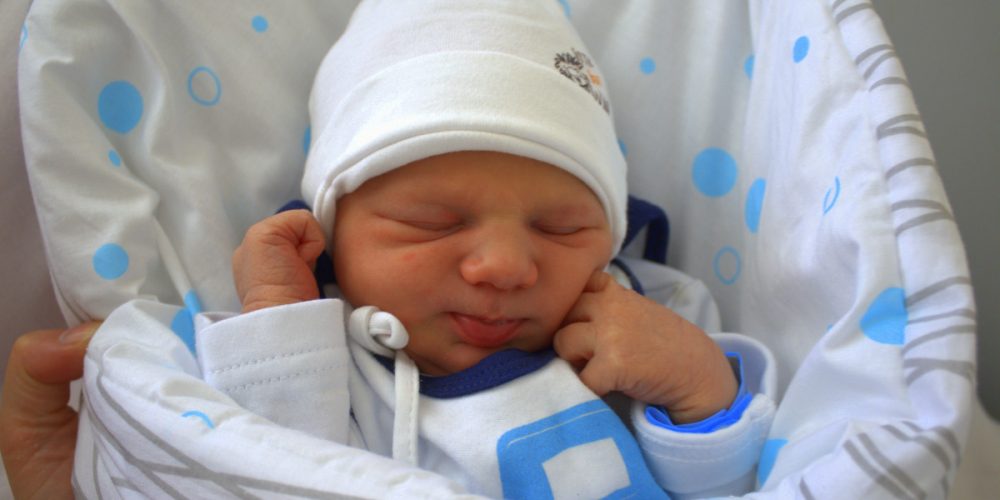 fot. Elżbieta Lejk /zKaszub.info