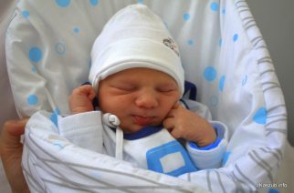 fot. Elżbieta Lejk /zKaszub.info