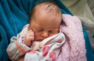 fot, Elżbieta Lejk /zKaszub.info