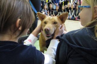 Akcja „Podaj łapę” w szkole w Pępowie