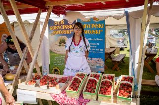 Festiwal Truskawek Kaszubskich po raz trzeci nęci pysznymi owocami fot. zKaszub.info