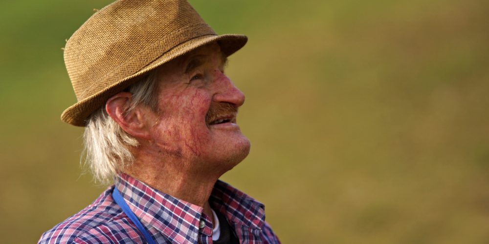 Masz duże straty z powodu suszy? Gdzie szukać pomocy?