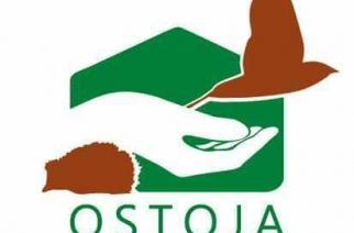 Ratują Dzikie Zwierzęta. Potrzebują również naszego wsparcia!