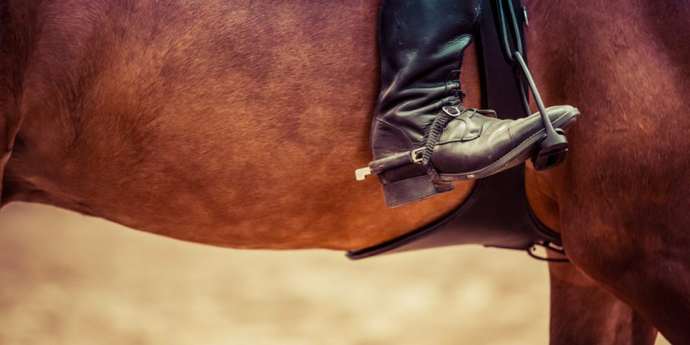 Czy to koniec leśnych przejażdżek konnych?