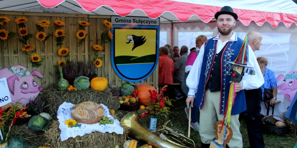 Dożynki Powiatu Kartuskiego 2018 w Żukowie [ZDJĘCIA]