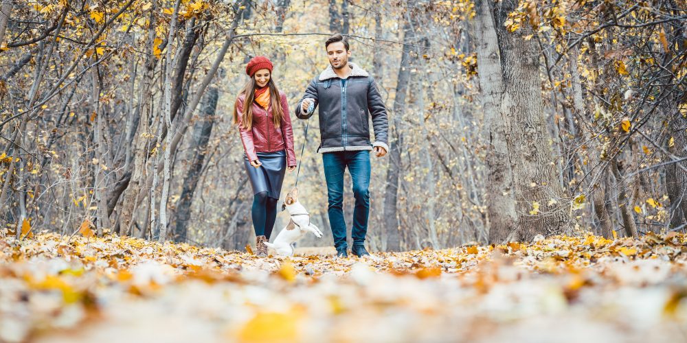 Jesienne spacery – pozostań widocznym na drodze dzięki odblaskom