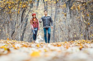 Jesienne spacery – pozostań widocznym na drodze dzięki odblaskom