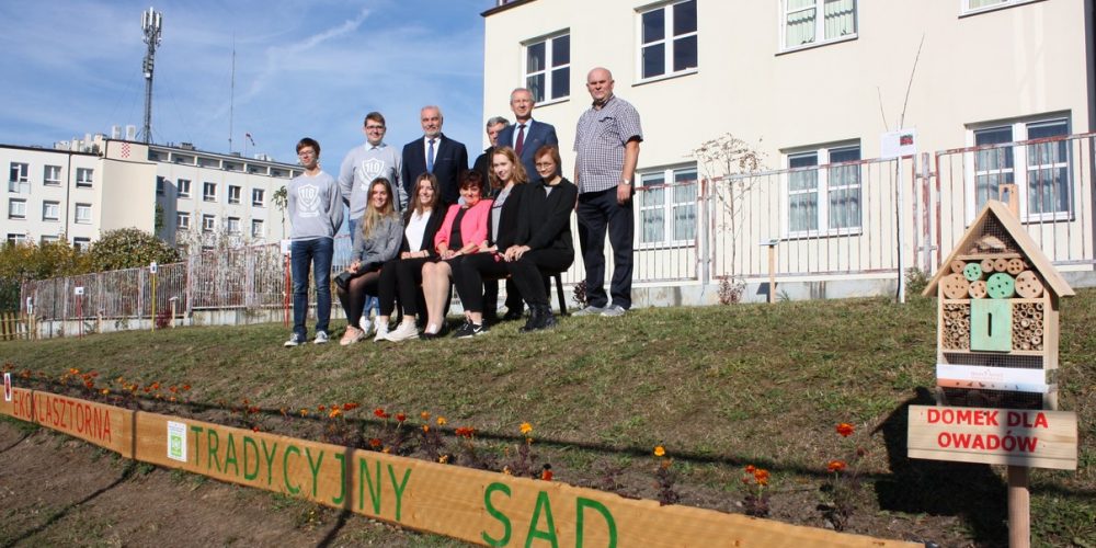 Przy szkole w Kartuzach powstał Ogród Edukacyjny „EkoKlasztorna”
