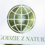 Jak skorzystać z programu Czyste Powietrze?