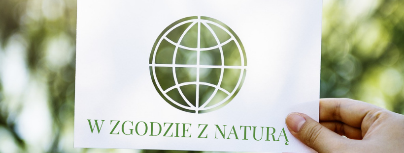 Jak skorzystać z programu Czyste Powietrze?