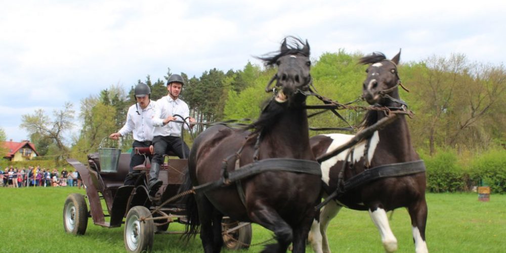 W majowy weekend turyści oraz mieszkańcy po raz kolejny będą mogli podziwiać zawodników biorących udział w konkursie powożenia bryczkami