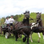 Gmina Somonino przyznała dotacje dla organizacji pozarządowych na 2019 rok! [WYKAZ]