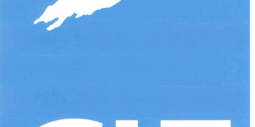 Nie będzie już Centrum Inicjatyw Edukacyjnych w Kartuzach? Anna Dereń wyraziła swoje niezadowolenie