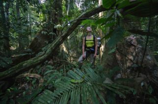 Dr Marta Skowron Volponi laureatką Nagrody Miasta Gdańska dla Młodych Naukowców im. Jana Uphagena