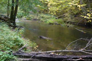 Weź udział w Wielkim Sprzątaniu Rzeki Radunia 2019!