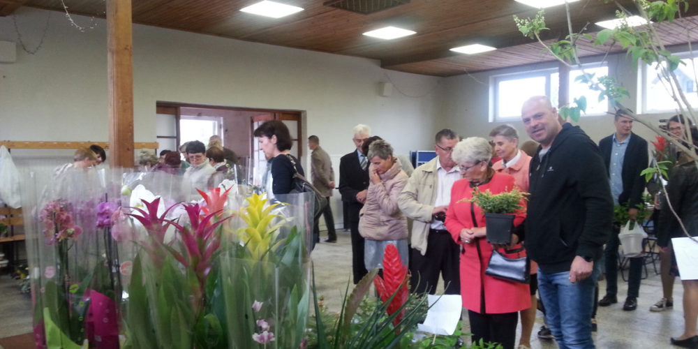 Mieszkańcy Borowa integrowali się na kiermaszu roślin