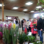 Mieszkańcy Borowa integrowali się na kiermaszu roślin