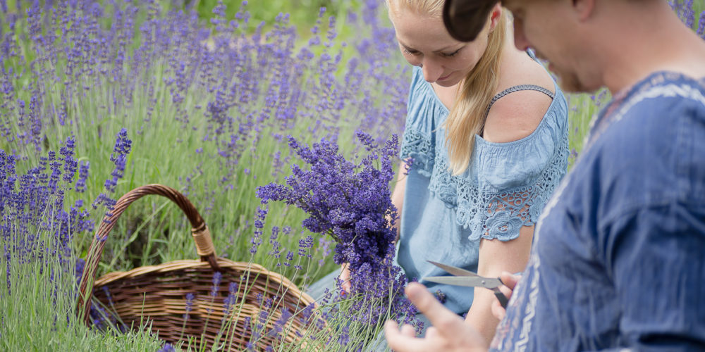 Sięgnij po zioła – warsztaty. Tradycja zielarska we współczesnych zastosowaniach