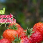 Niedługo Festiwal Truskawek Kaszubskich w Chmielnie. Zgłoś swoje stoisko i weź udział w konkursach!