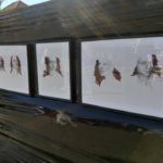 Wystawa Krystyny Bielak i Piotra Kuchty na kartuskim Rynku [ZDJĘCIA]