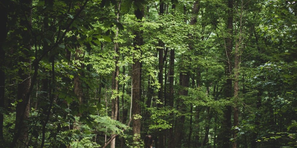 Survival integracyjny na łonie natury