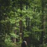 Survival integracyjny na łonie natury