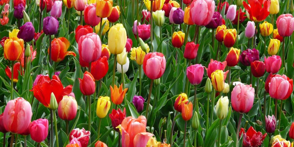 Podziękowania dla Burmistrza Kartuz