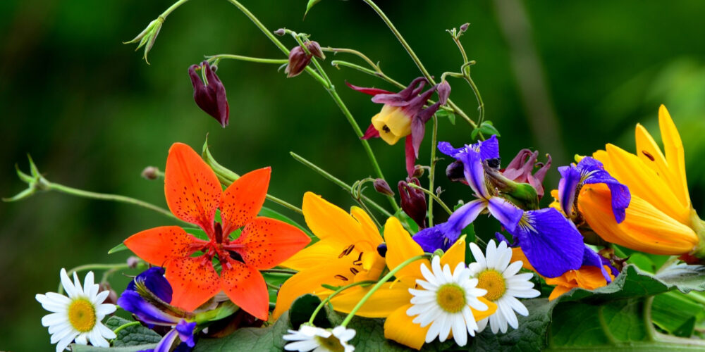 Święto Kwiatów i Krzewów