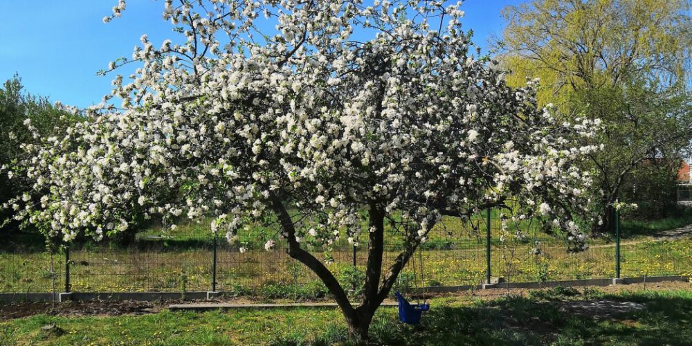 Piękna wieś, piękna zagroda