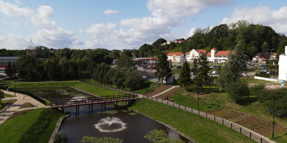 Tysiące sadzonek przy żukowskim stawie