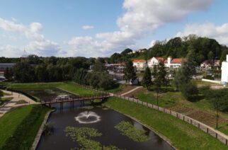 Tysiące sadzonek przy żukowskim stawie