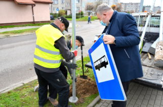 Nowe linie autobusowe