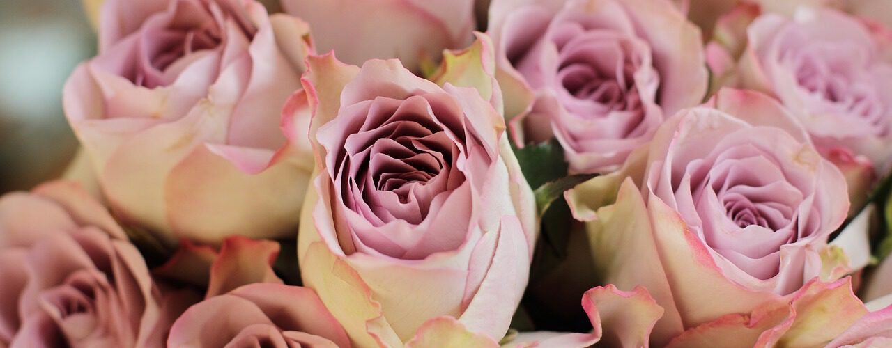 Kwiaty z okazji i bez okazji – jak wybrać i gdzie szukać ?