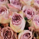 Kwiaty z okazji i bez okazji – jak wybrać i gdzie szukać ?