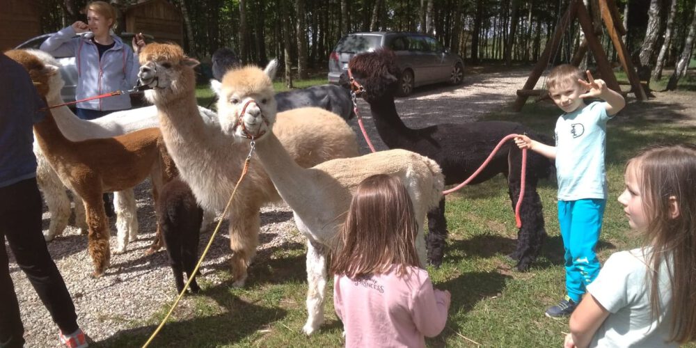 Pomieczyno. Festyn rodzinny pełen atrakcji