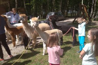 Pomieczyno. Festyn rodzinny pełen atrakcji