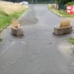 Kartuzy. Właściciele kwiaciarni zmagali się z żywiołem. Oberwanie chmury dla nich oznacza potop (wideo)