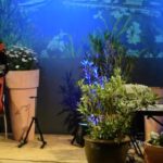 Kartuzy. Muzyka Świata i szczepienia dziś na Rynku